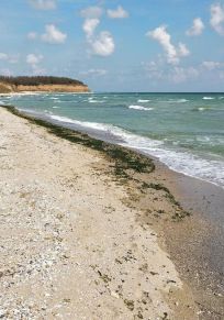 Cosmos Camping