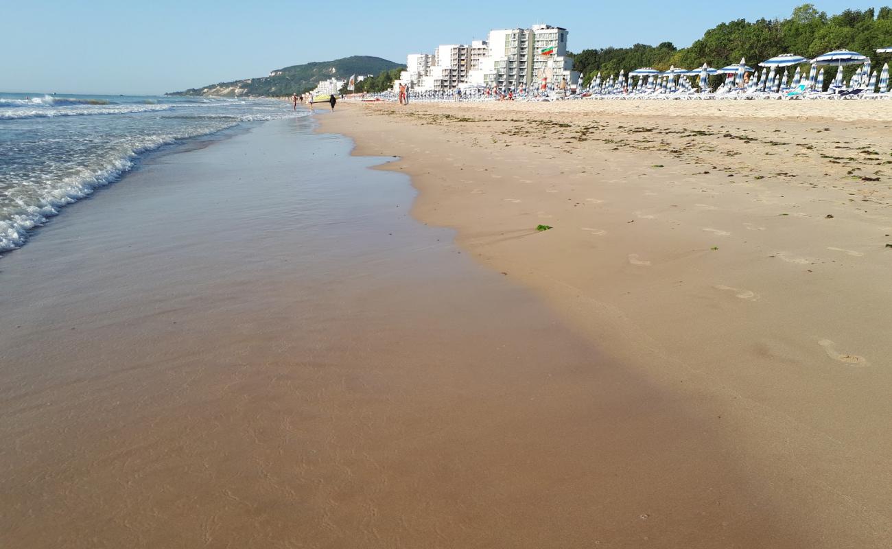 Albena Plajı'in fotoğrafı i̇nce bej kum yüzey ile
