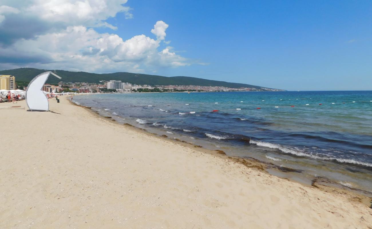 Sunny beach'in fotoğrafı parlak kum yüzey ile