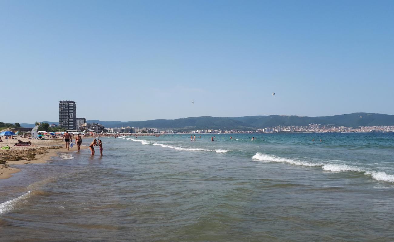 Sunny nude beach'in fotoğrafı beyaz ince kum yüzey ile