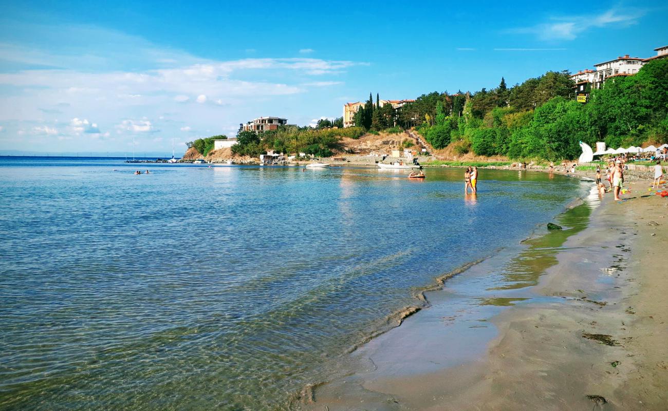 Zlatna ribka beach'in fotoğrafı açık bej kum yüzey ile