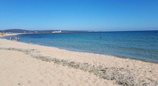 Shofjorski beach II