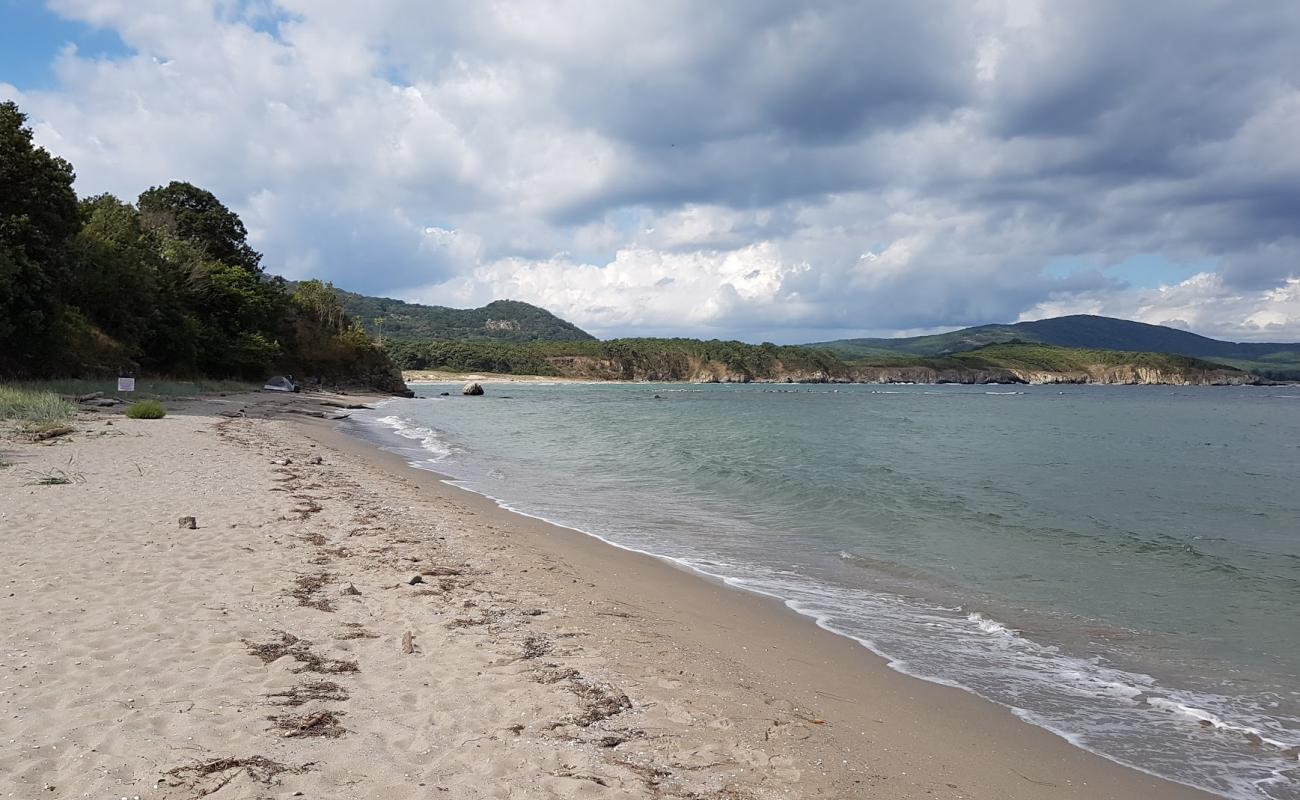 Ropotamo beach'in fotoğrafı açık bej kum yüzey ile