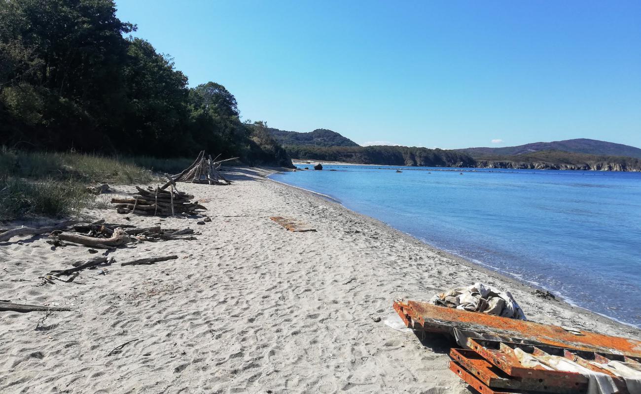Ropotamo beach II'in fotoğrafı açık bej kum yüzey ile
