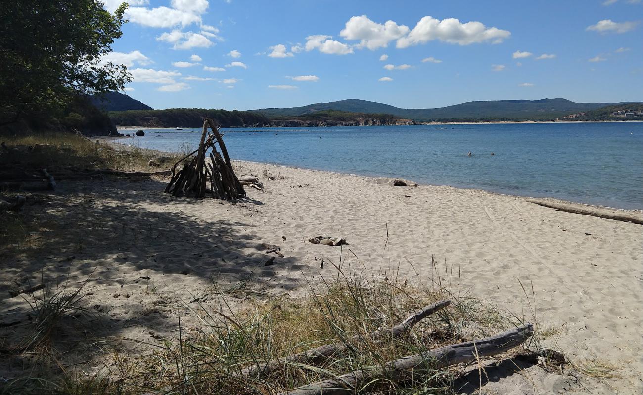 Small Shady beach'in fotoğrafı açık bej kum yüzey ile
