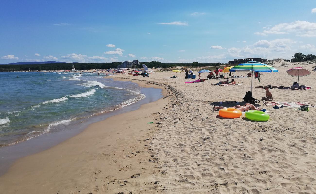 Severen South'in fotoğrafı açık bej kum yüzey ile