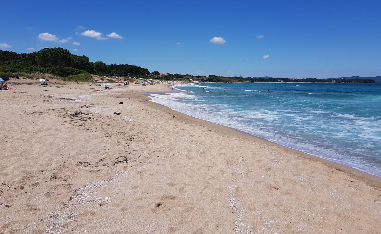 Coral beach'in fotoğrafı açık bej kum yüzey ile