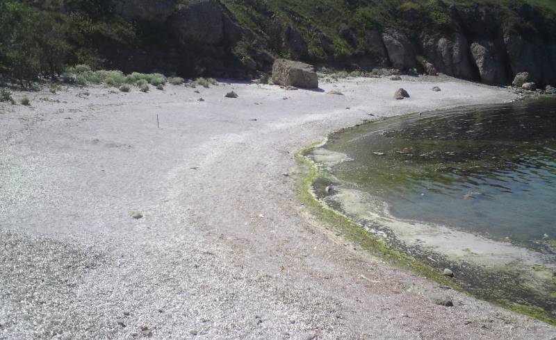 Perlene plage'in fotoğrafı küçük bej çakıl yüzey ile