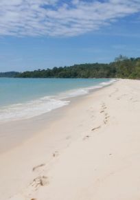 Okampoujea community