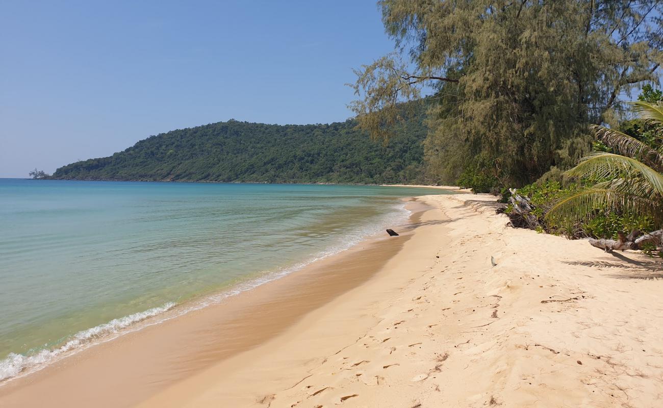 Lazy Beach'in fotoğrafı parlak kum yüzey ile