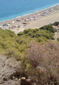 Tipaza Vilayeti