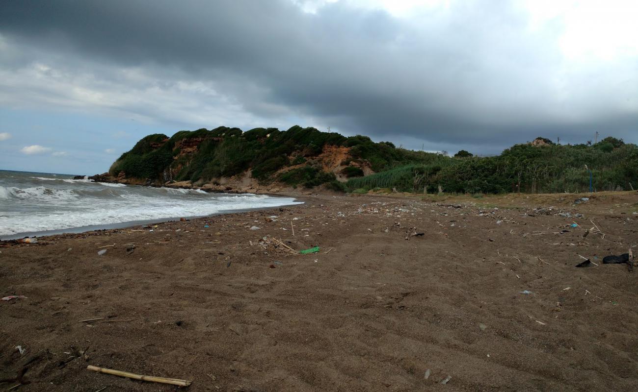 Plage de Ouled El Belaa'in fotoğrafı kahverengi kum yüzey ile