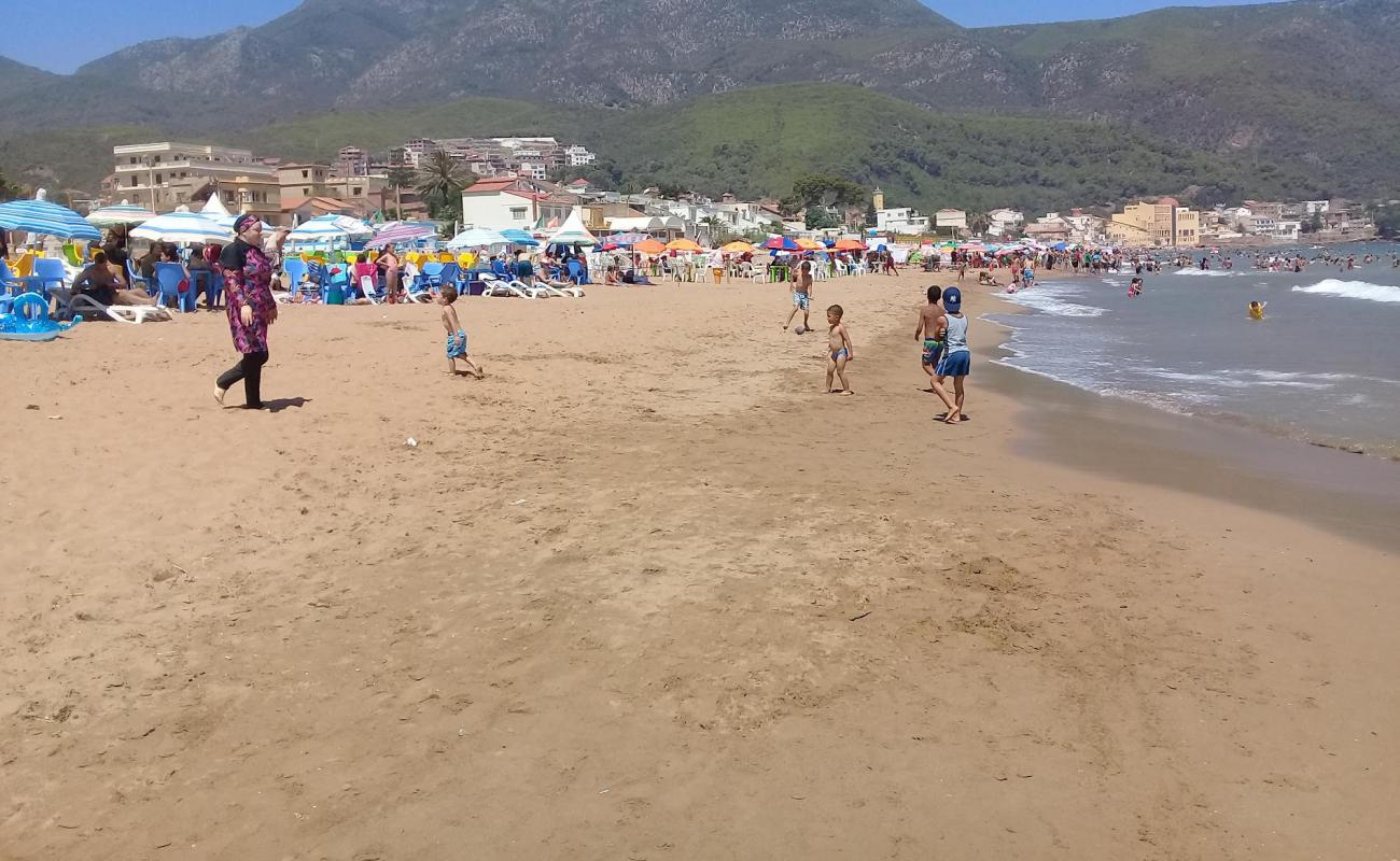 Chenoua plage'in fotoğrafı parlak kum yüzey ile