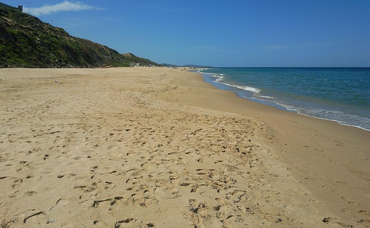 Reghaia beach'in fotoğrafı parlak ince kum yüzey ile