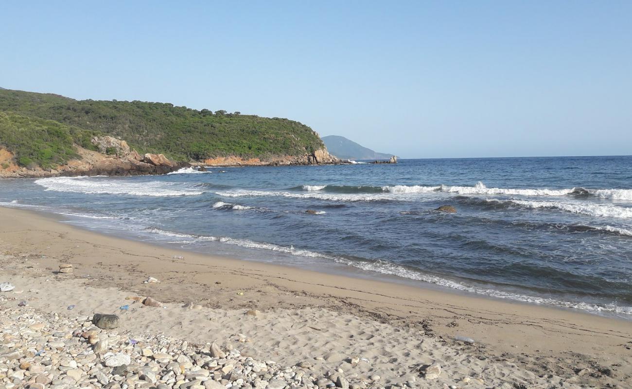 Oued EL Gueb'in fotoğrafı parlak kum ve kayalar yüzey ile