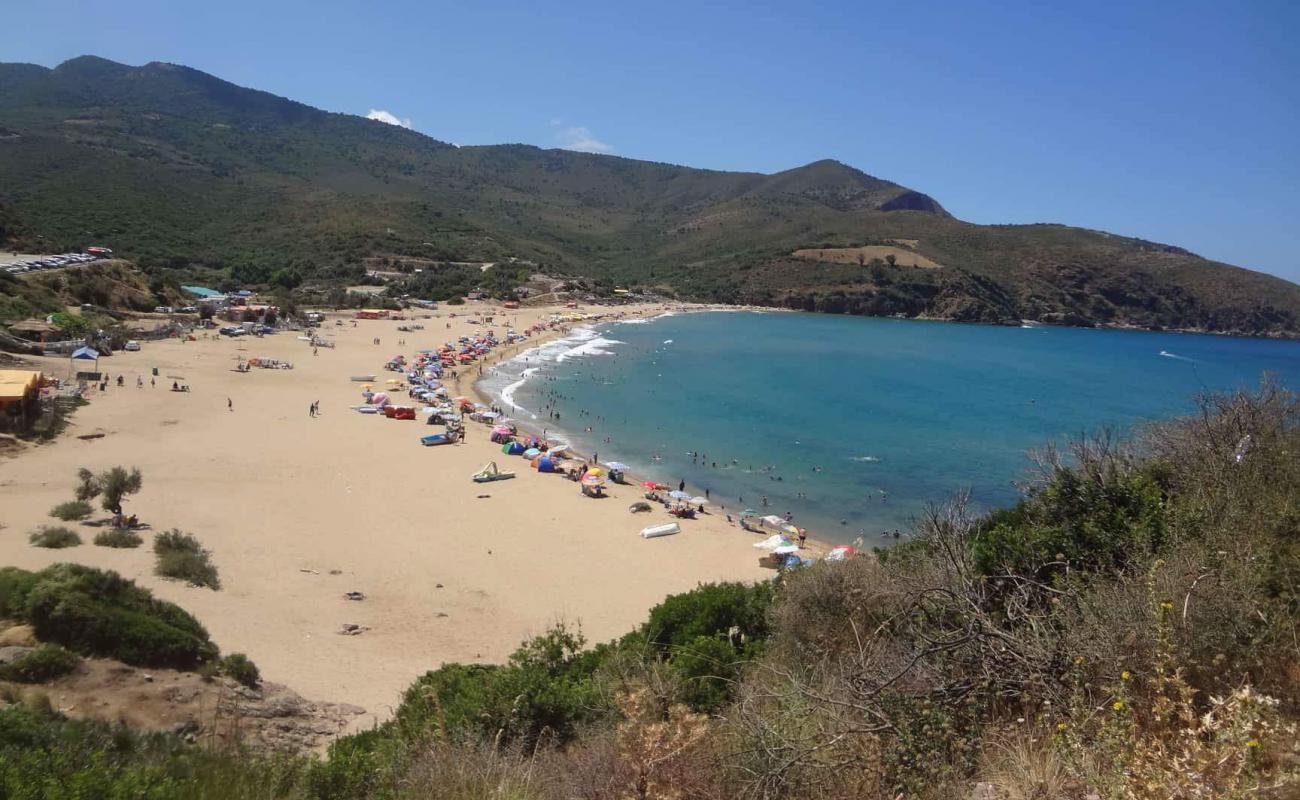 Plage Djenen El Bey wad bwqrat( La grande Plage )'in fotoğrafı gri ince kum yüzey ile