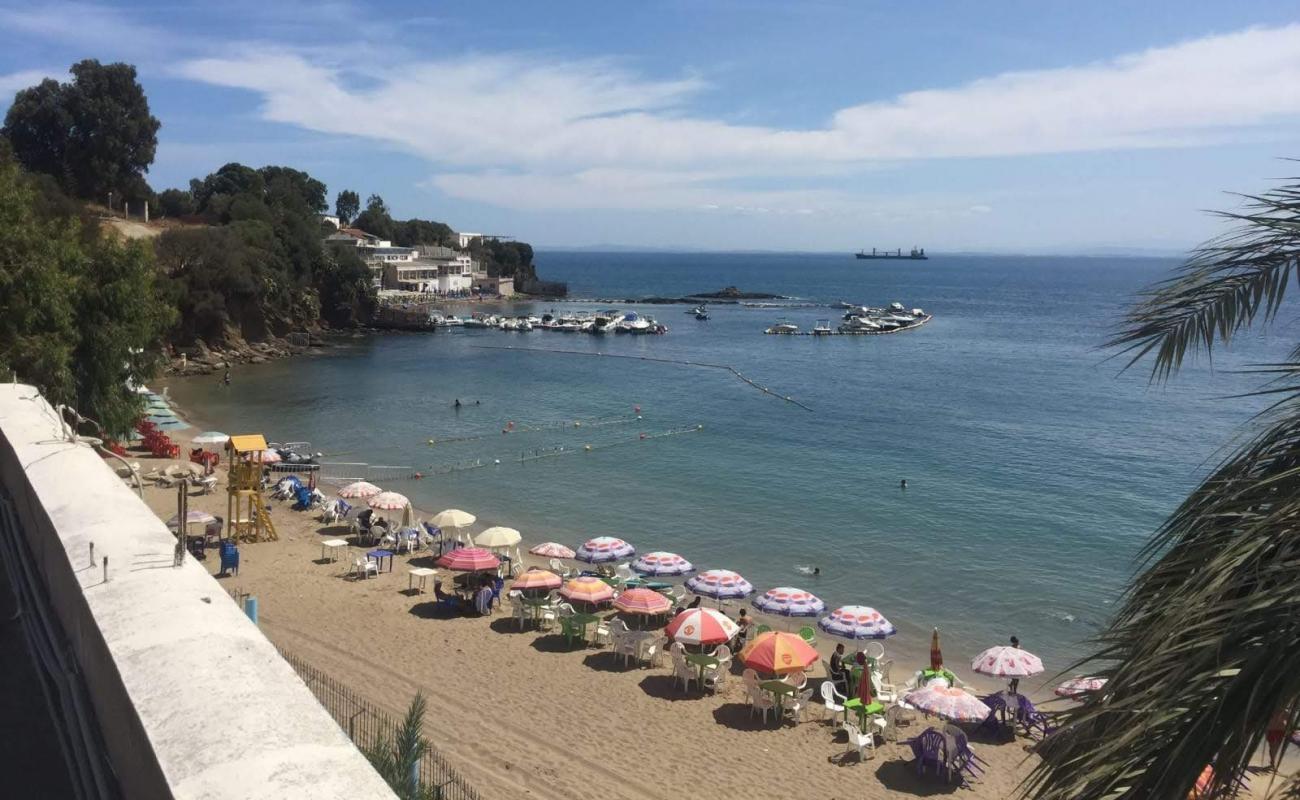 shaty almnzr aljmylPlage du Belvedere'in fotoğrafı parlak kum yüzey ile