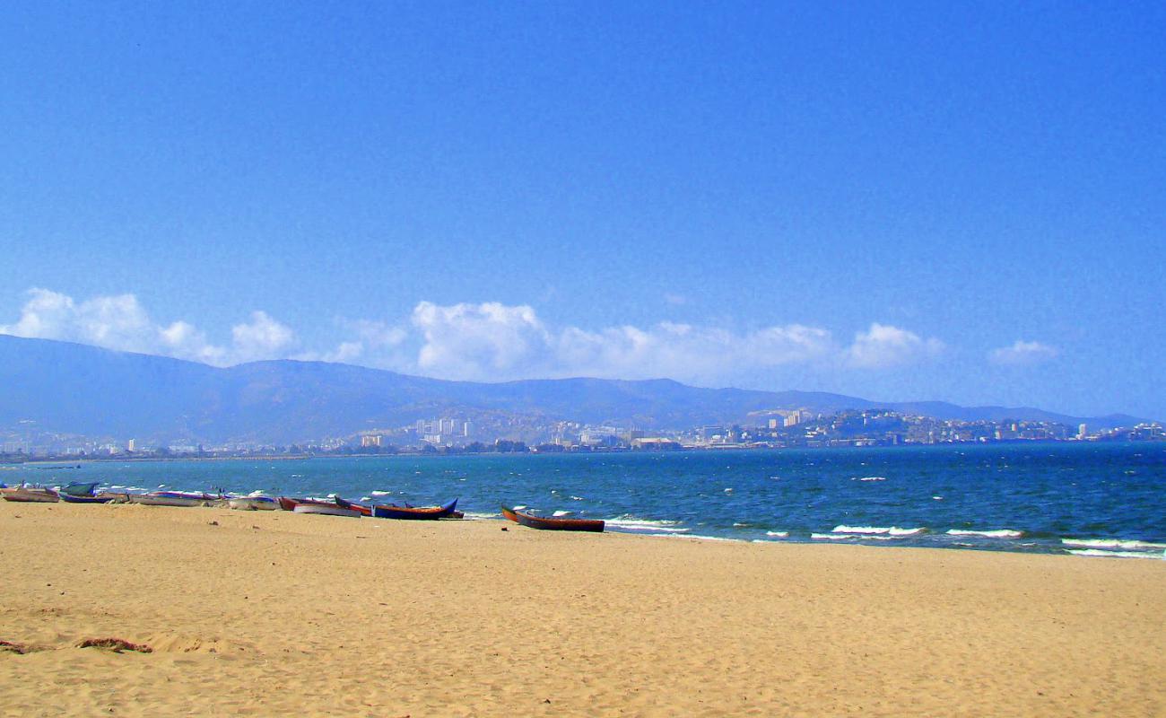 Plage Sidi Salem'in fotoğrafı parlak kum yüzey ile