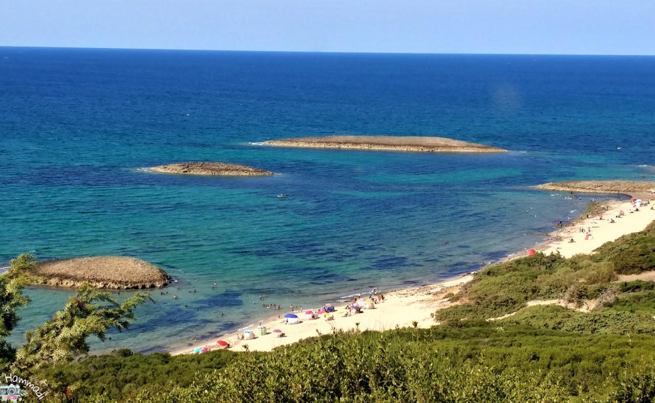Plage Laouinette'in fotoğrafı açık bej kum yüzey ile