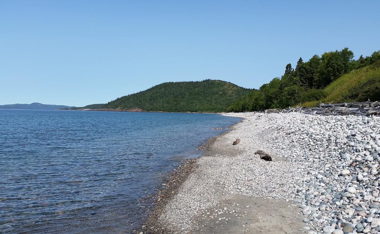 Pebble beach'in fotoğrafı hafif çakıl yüzey ile