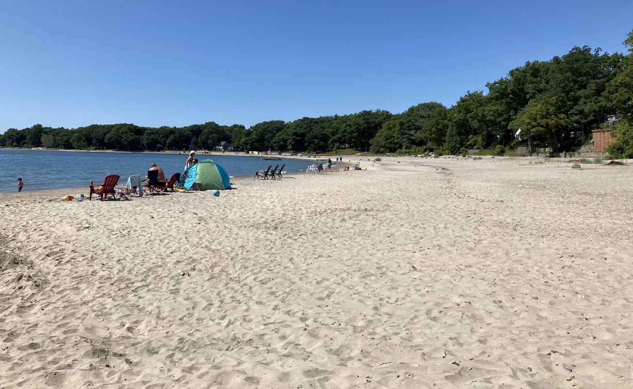 Cedar Bay Beach'in fotoğrafı parlak kum yüzey ile