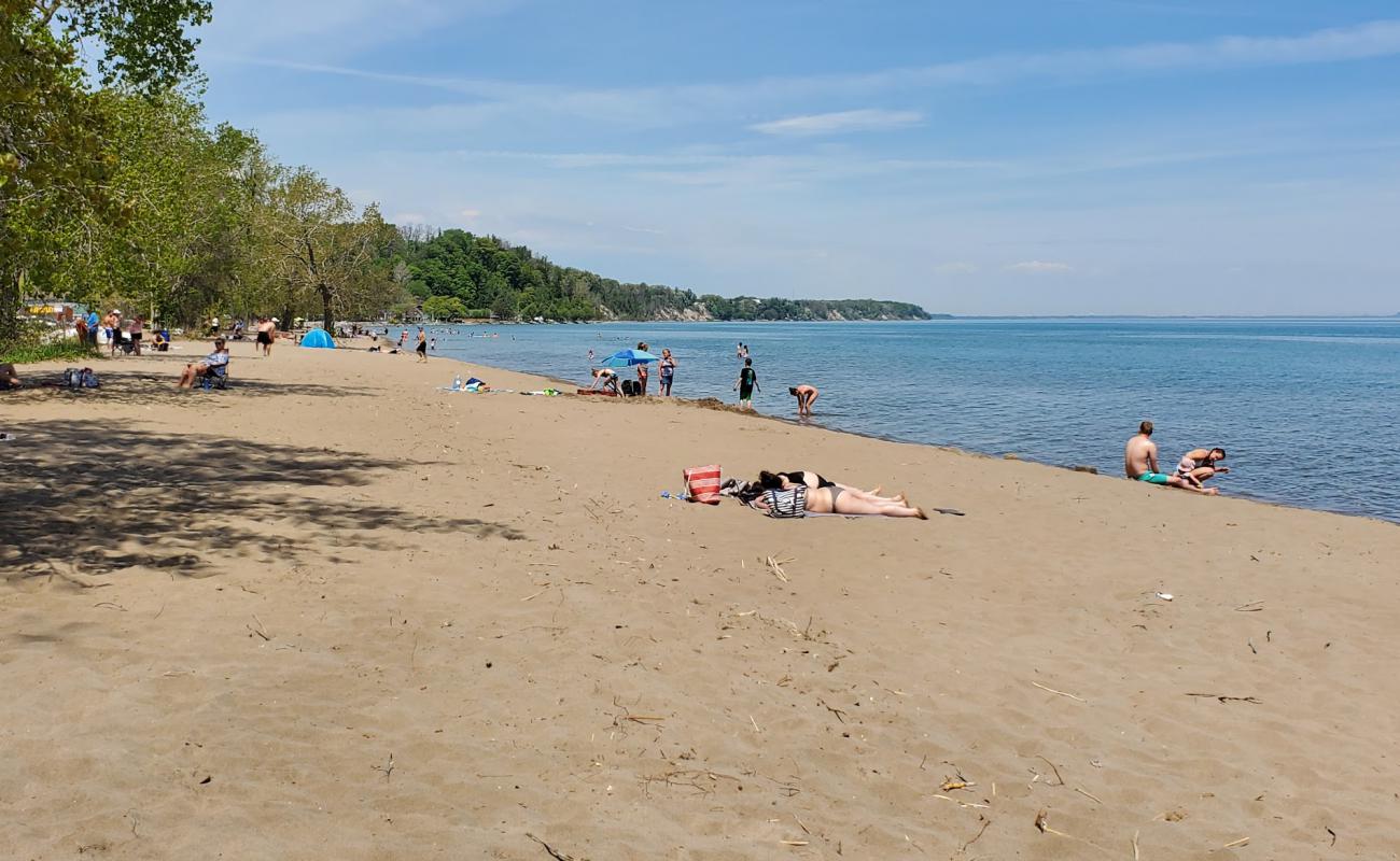 Turkey Point Beach'in fotoğrafı parlak kum yüzey ile