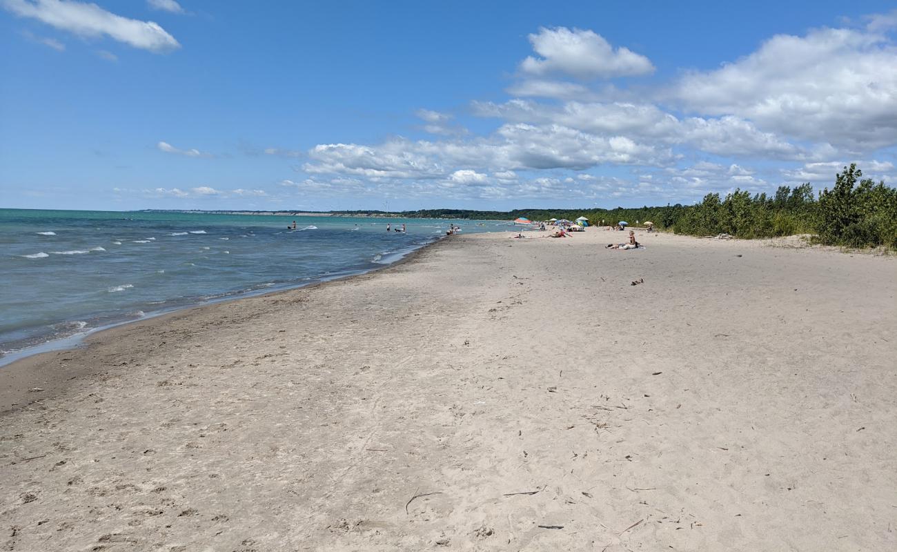 Dog Beach'in fotoğrafı parlak kum yüzey ile