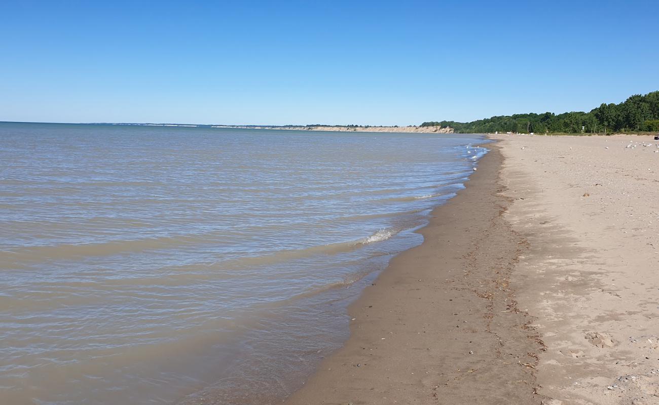 Port Stanley Main Beach'in fotoğrafı parlak kum yüzey ile