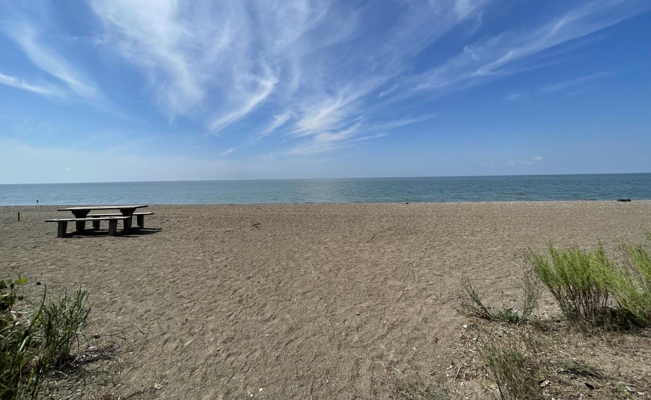 Black Willow Beach'in fotoğrafı gri çakıl taşı yüzey ile