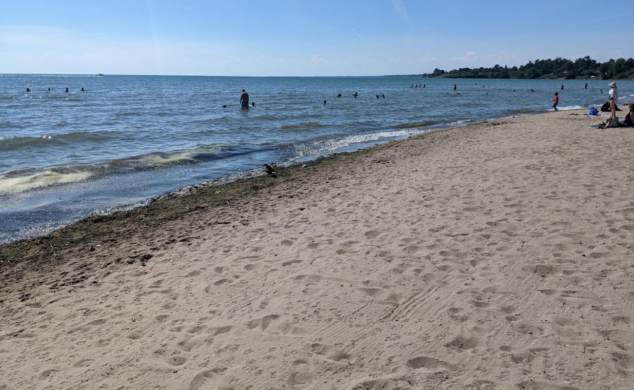 Seacliff beach'in fotoğrafı parlak kum yüzey ile