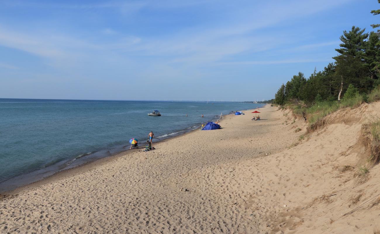 Pinery Dog Beach'in fotoğrafı parlak kum yüzey ile