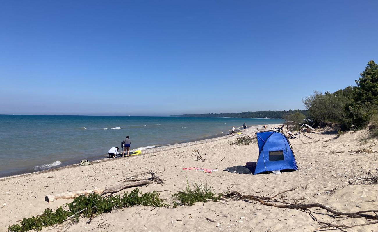 Point Farm Beach'in fotoğrafı açık bej kum yüzey ile