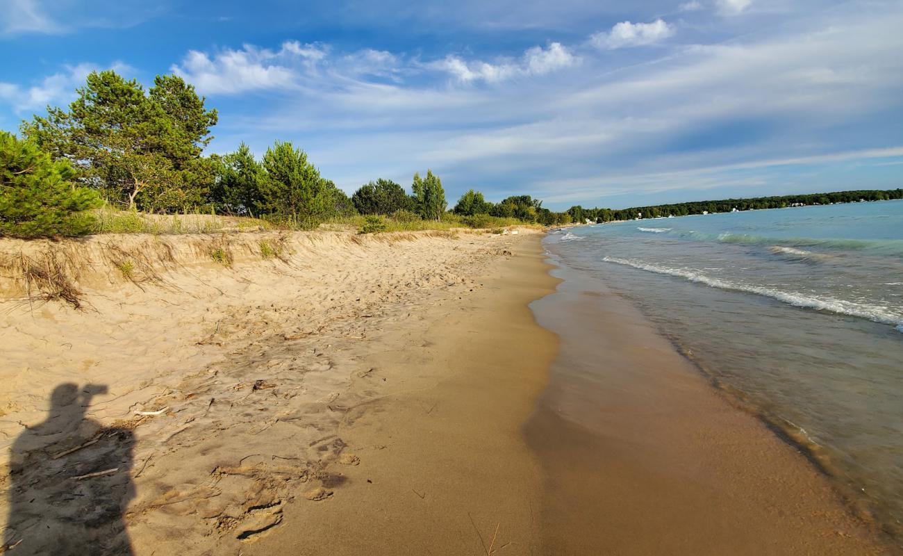 Inverhuron Beach'in fotoğrafı açık bej kum yüzey ile