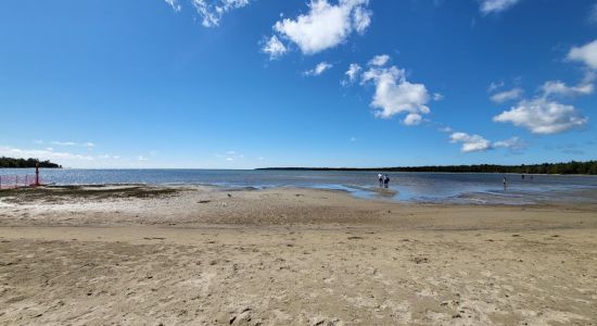 Singing Sands