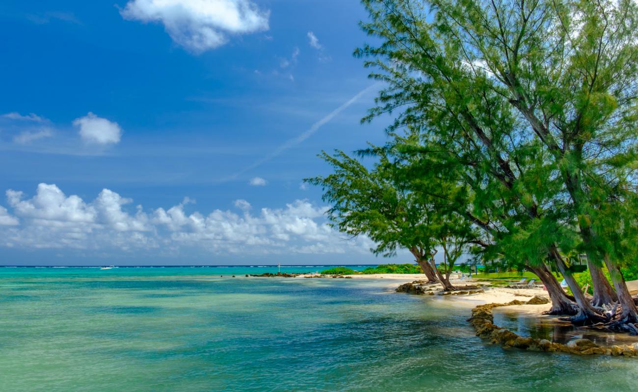 Rum Point beach'in fotoğrafı parlak kum yüzey ile