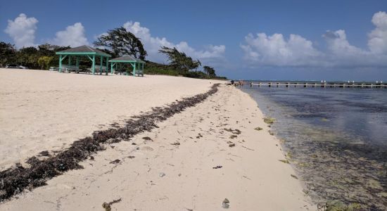 Colliers beach