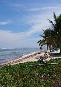 Grand Cayman Adası
