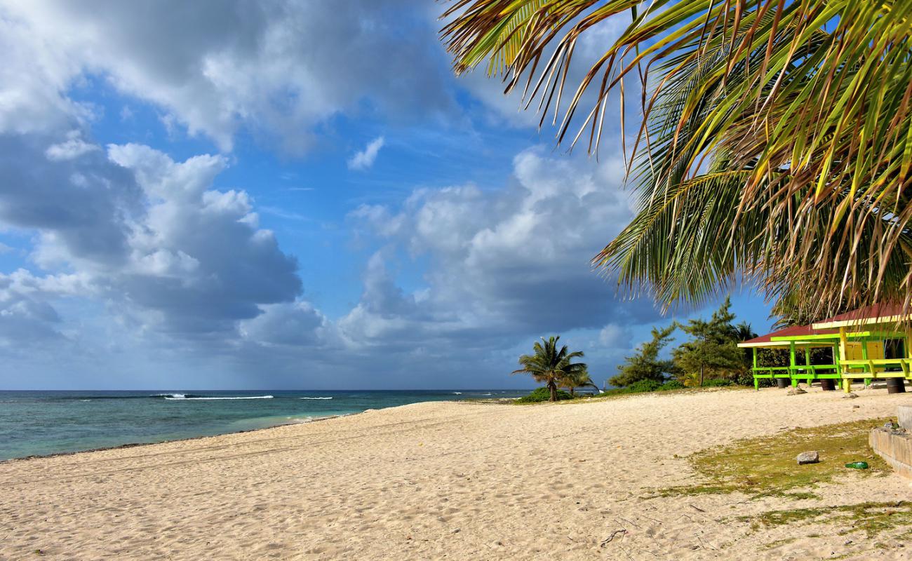 Bodden Town beach'in fotoğrafı parlak ince kum yüzey ile