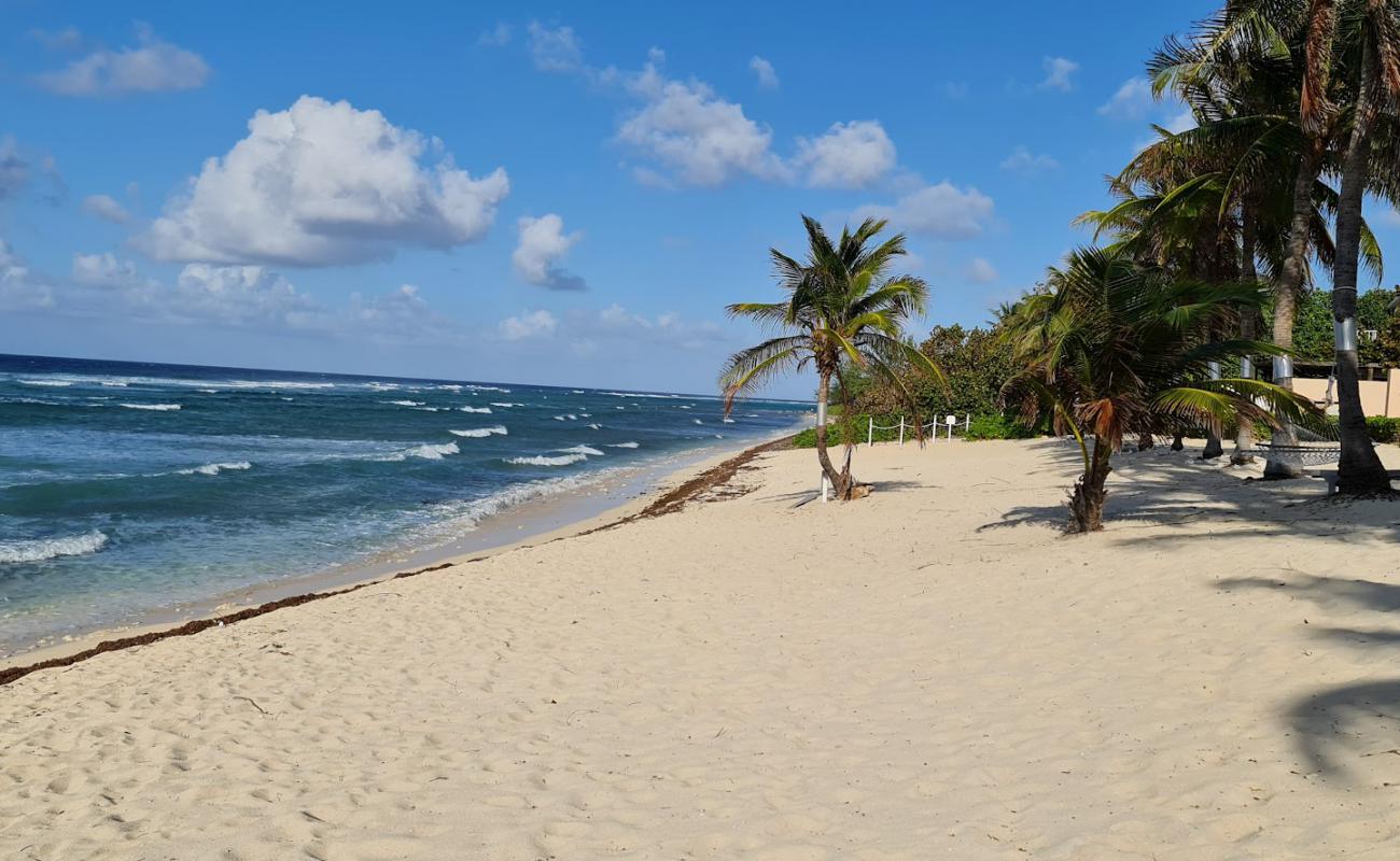 Conch Point beach'in fotoğrafı siyah ince çakıl taş yüzey ile