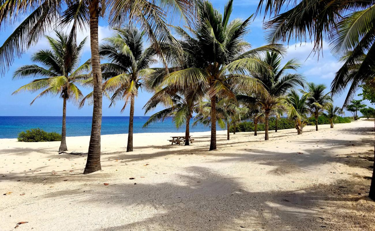 White Bay beach'in fotoğrafı parlak ince kum yüzey ile