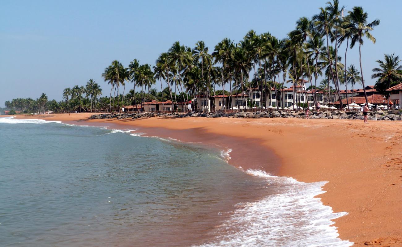 Dolphin hotel beach'in fotoğrafı parlak kum yüzey ile