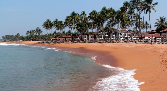 Dolphin hotel beach