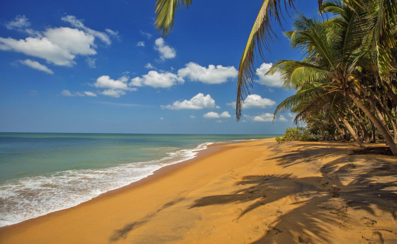 Marawila beach'in fotoğrafı açık bej kum yüzey ile