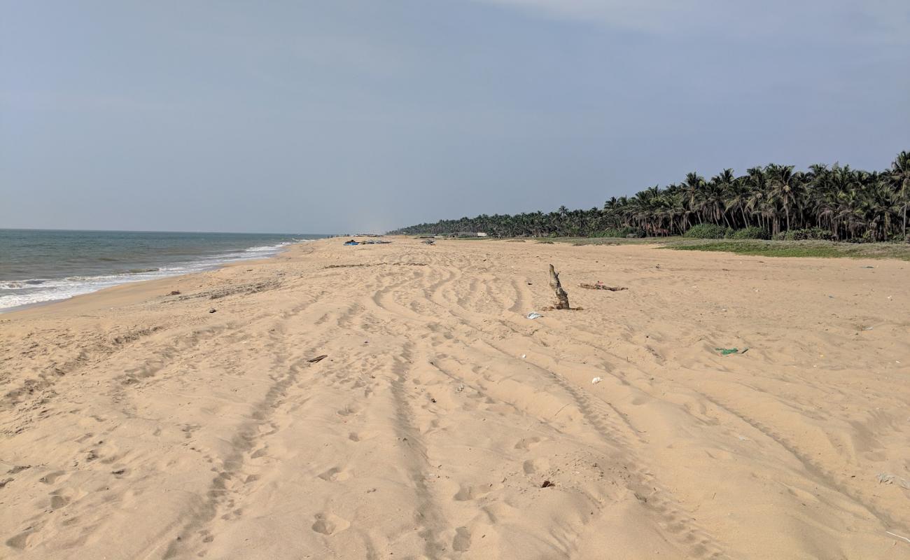 Udappuwa Beach'in fotoğrafı parlak kum yüzey ile