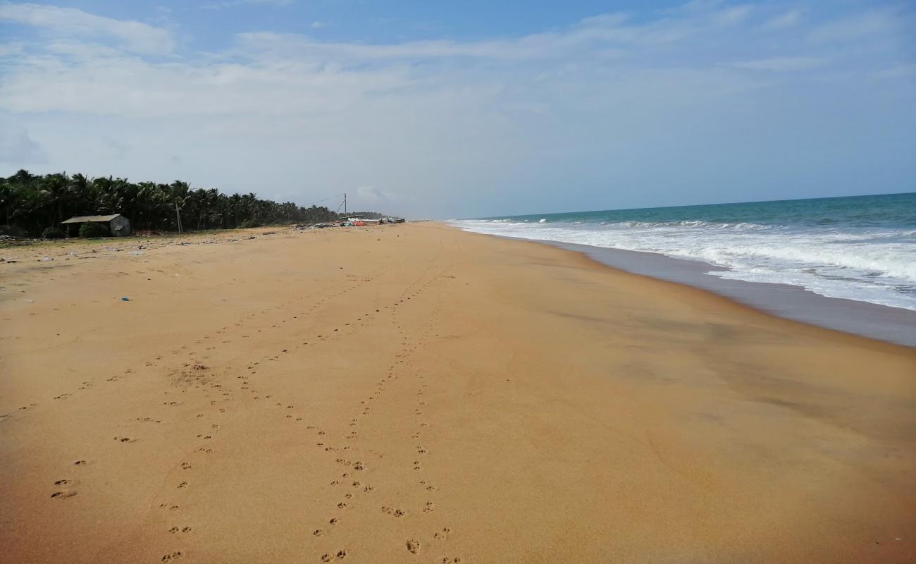 Sinnapaduwa Beach'in fotoğrafı parlak kum yüzey ile