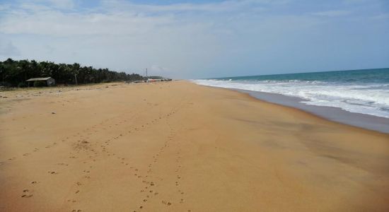 Sinnapaduwa Beach