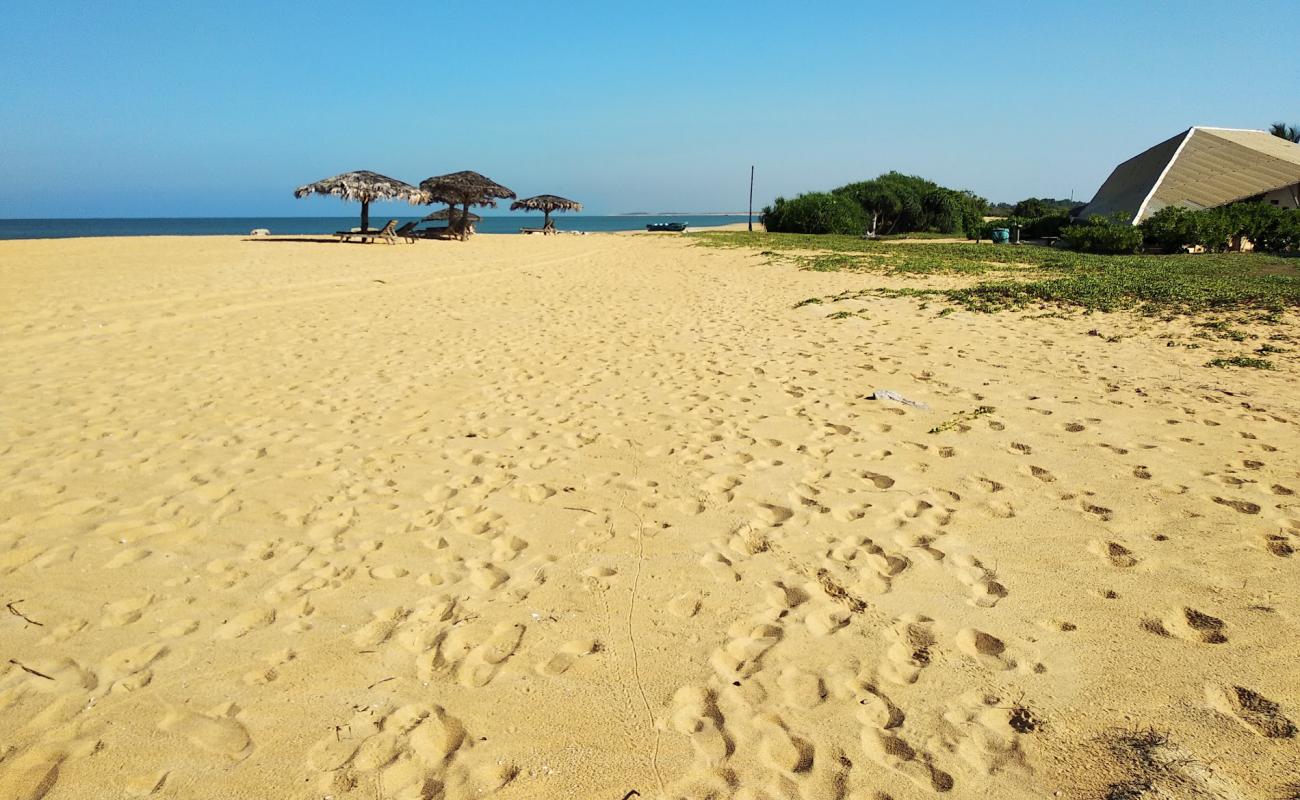 Thalawila Beach'in fotoğrafı parlak kum yüzey ile