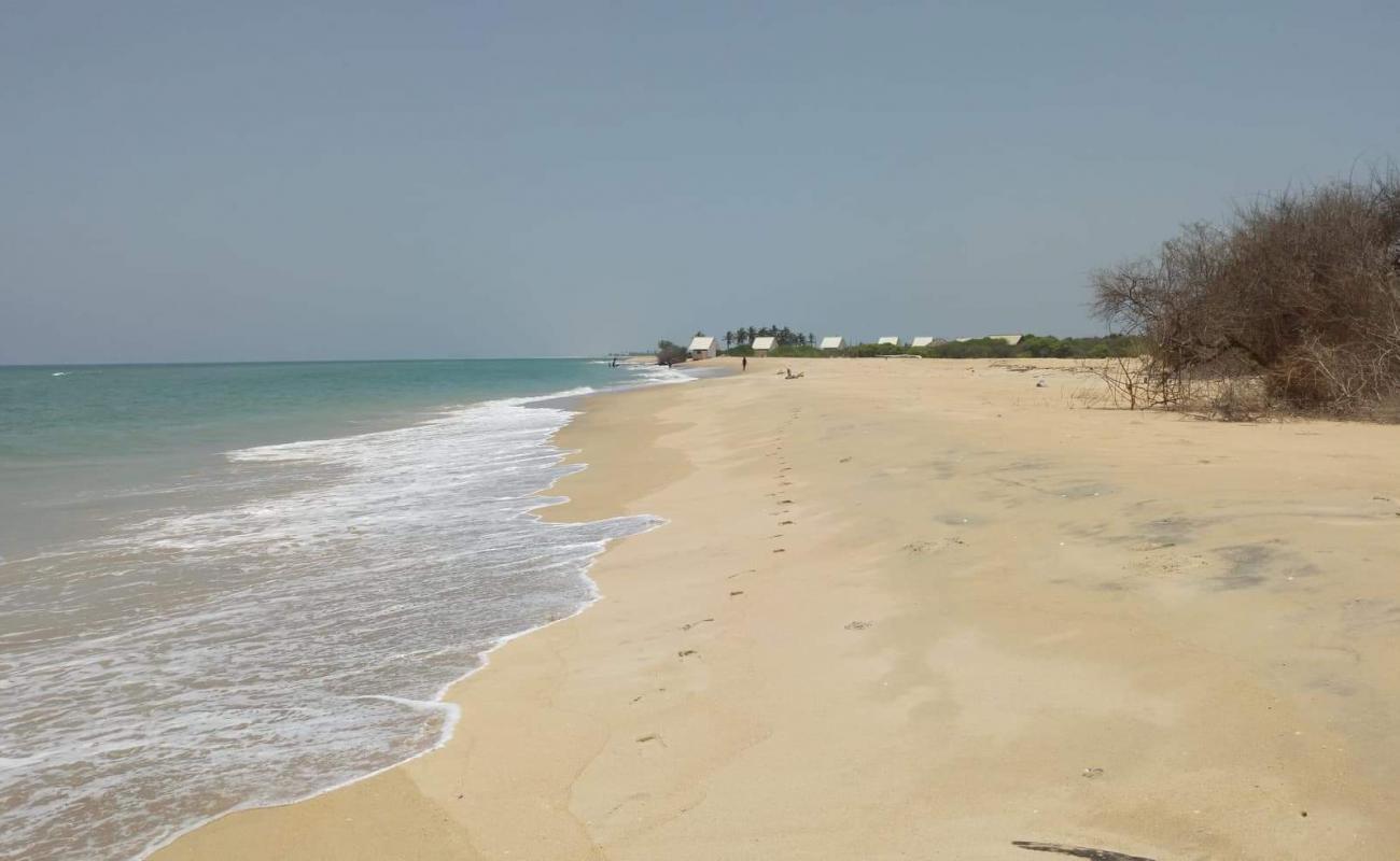 Sands Kalpitiya Beach'in fotoğrafı parlak kum yüzey ile