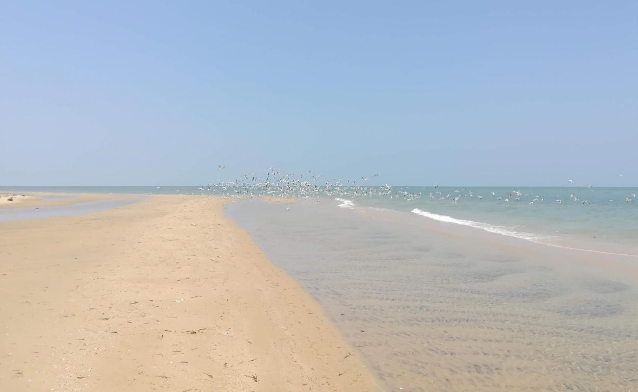 Talaimannar beach'in fotoğrafı açık bej kum yüzey ile