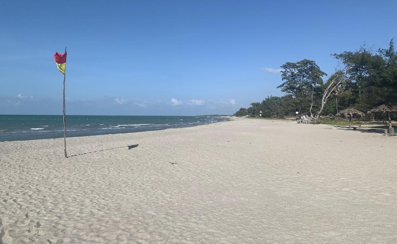 Casuarina Beach'in fotoğrafı açık bej kum yüzey ile